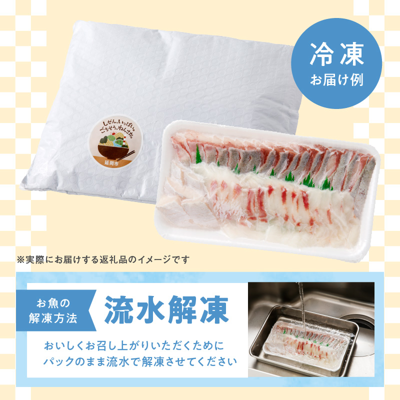 【12ヶ月定期便】大和の高級お刺身　6人前【冷凍】 N072-YG0259-2