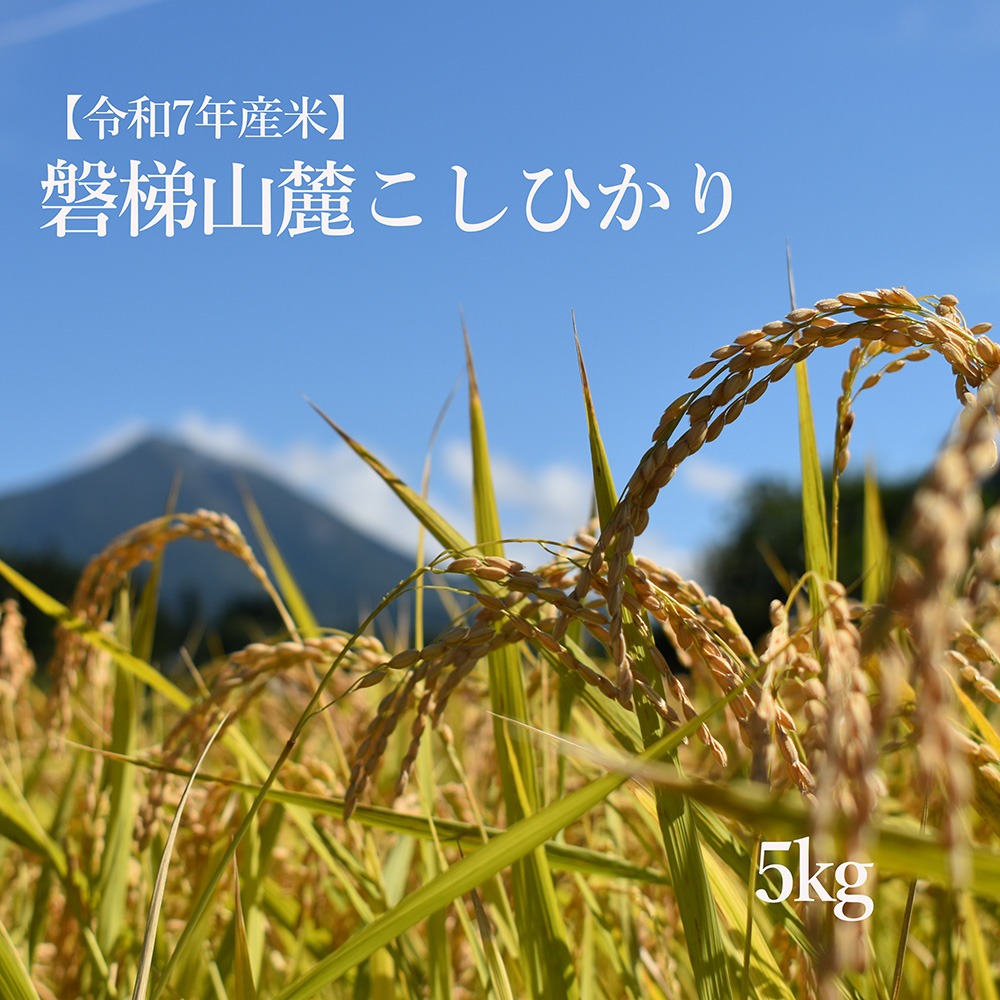 【数量限定】令和7年産コシヒカリ　5kg　磐梯山麓こしひかり　精米　発送時期3月下旬から
