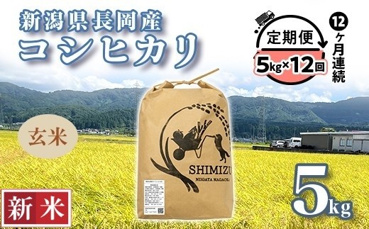
                  N5-8G05Z【12ヶ月連続お届け】新潟県長岡産コシヒカリ玄米5kg
                