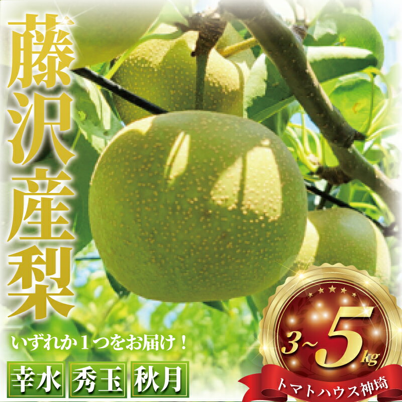 【ふるさと納税】 先行予約 梨 3kg ~ 5kg あきづき 幸水 秀玉 ナシ 新鮮 季節限定 フルーツ 果物 スイーツ くだもの なし nasi 人気品種 ナシ 和梨 日本梨 赤梨 旬の梨 甘い 旬 贈答用 ギフト お中元 産地直送 農家直送 数量限定 トマトハウス神埼 神奈川 湘南 藤沢
