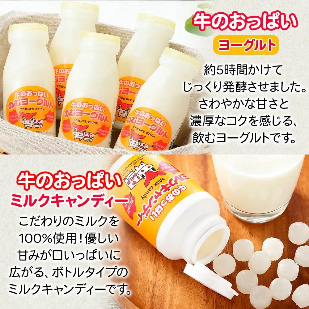 牛のおっぱいミルク 5本 コーヒーミルク5本 のむヨーグルト5本 計15本 おっぱいミルクキャンディー1個 セット 牛乳 生乳 ミルク 牛 酪農 飲料 しぼりたて 珈琲 ヨーグルト 飴 お取り寄せ ギ