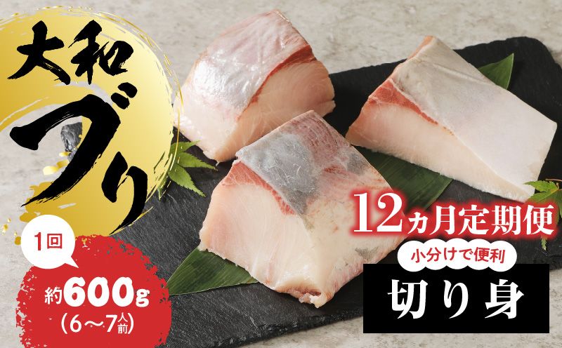 【大和海商】大和ブリの切り身　12ヵ月定期便 N072-YG0184