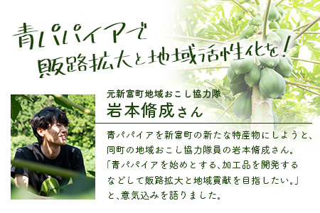 青パパイヤ お試し1kgセット 酵素の王様・健康万能野菜 パパイア王子厳選 宮崎県産【A334】