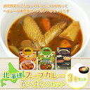 【ふるさと納税】北海道スープカレー3食セット (北海道スープカレー&北海道野菜のスープカレー&ザ・プレミアム北海道スープカレー) 北海道スープカレー 野菜 鶏 鶏肉 レトルト ごろっと スープ NAO024