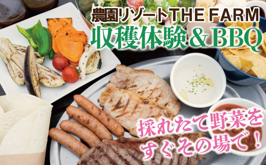 
THE FARMで収穫体験&採れたて新鮮野菜をBBQで食べる贅沢な食体験(2名様)【1422348】
