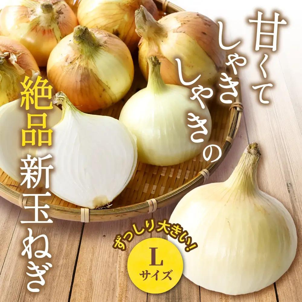 玉ねぎ 和歌山県産 新玉ねぎ 約10kg Lサイズ 約25個入り【kgr033】