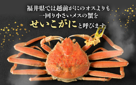 【先行予約】はるか丸厳選！≪浜茹で≫ 越前 せいこがに 大サイズ 約200g × 2杯【冷凍】かにスプーン付き【2025年11月下旬以降順次発送予定】とれたて！茹でたて！新鮮！【冷凍 セイコガニ セコ