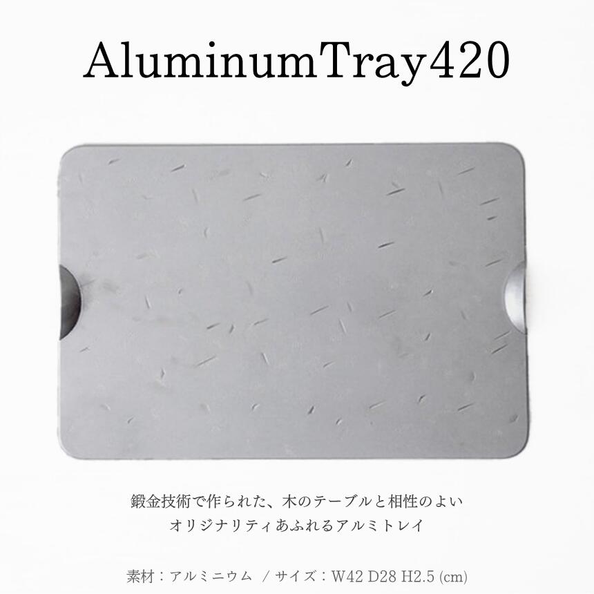 【ふるさと納税】AluminumTray420｜ 信州 職人 技 国産 こだわり アルミニウム トレイ アルミ製 金属 おしゃれ 職人仕上げ 伝統的 ふるさと納税 長野県 松本市