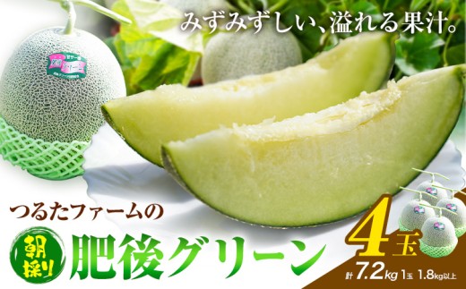 つるたファームの 朝採り 肥後グリーン メロン 1.8kg以上 4玉 株式会社七城の恵み《5月上旬-5月下旬に出荷予定》熊本県 菊池市 メロン つるたファーム