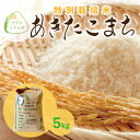 【ふるさと納税】新米　令和6年産　特別栽培米あきたこまち　5kg×1袋【配送不可地域：離島・沖縄県】【1545992】