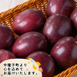 n258 ＜先行予約＞ パッションフルーツ 約1.3kg以上・9～15個入 国産 鹿児島 種子島 果物 常温 【ひさちゃん養蜂園】