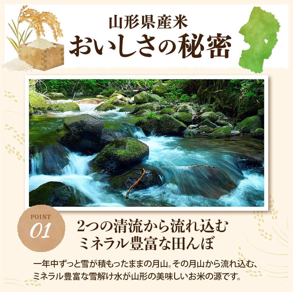 【令和8年産米】2027年3月上旬発送 雪若丸20kg（5kg×4袋） 山形県産 【米comeかほく協同組合】
