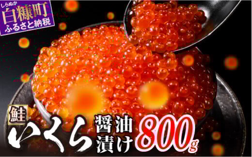 醤油漬鮭いくら 800g(200g×2パック×2箱) いくら イクラ 小分け いくら醤油漬 鮭いくら 鮭イクラ イクラ醤油漬 いくら醤油漬け イクラ醤油漬け 鮭 鮭卵 ikura いくら醤油漬 醤油い