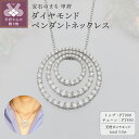 【ふるさと納税】 ネックレス ペンダント ジュエリー レディース アクセサリー ダイヤモンド 87石 3.0ct プラチナ PT900 PT850 サークルモチーフ ギフト プレゼント ジュエリーケース付 鑑別書付 保証書付 k168-111