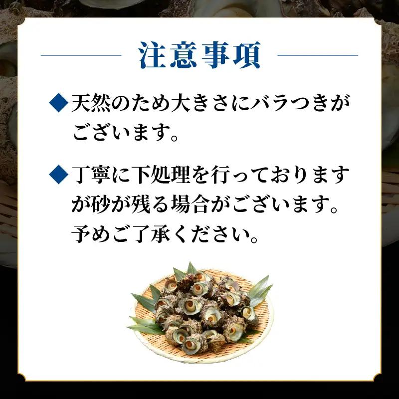 越前町産 天然 サザエ 1kg （500g×2袋）【サザエ 海鮮】 [e15-a065]