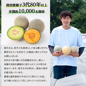 メロン 先行 予約 青森 減農薬栽培メロン 1玉 糖度16度以上保証 減農薬 青肉 赤肉 青肉メロン 赤肉メロン フルーツ 果物 旬のフルーツ 旬の果物 旬 夏 レビュー 高評価 先行予約 2026 