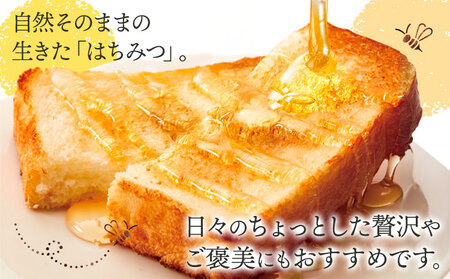 【先行予約】日本みつばちのはちみつ 1瓶360g  正木ぶどう園 はちみつ