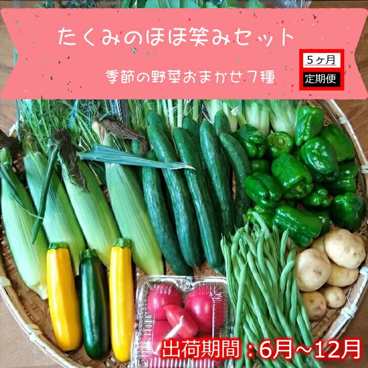 
                  【5ヶ月定期便】旬の野菜7種詰め合わせ『たくみのほほ笑みセット』（2026年6～12月出荷／北海道・九州・沖縄県・離島は配送不可） 旬彩 長野県 信州 おまかせ 高原  産地直送 季節 有機 栽培
                