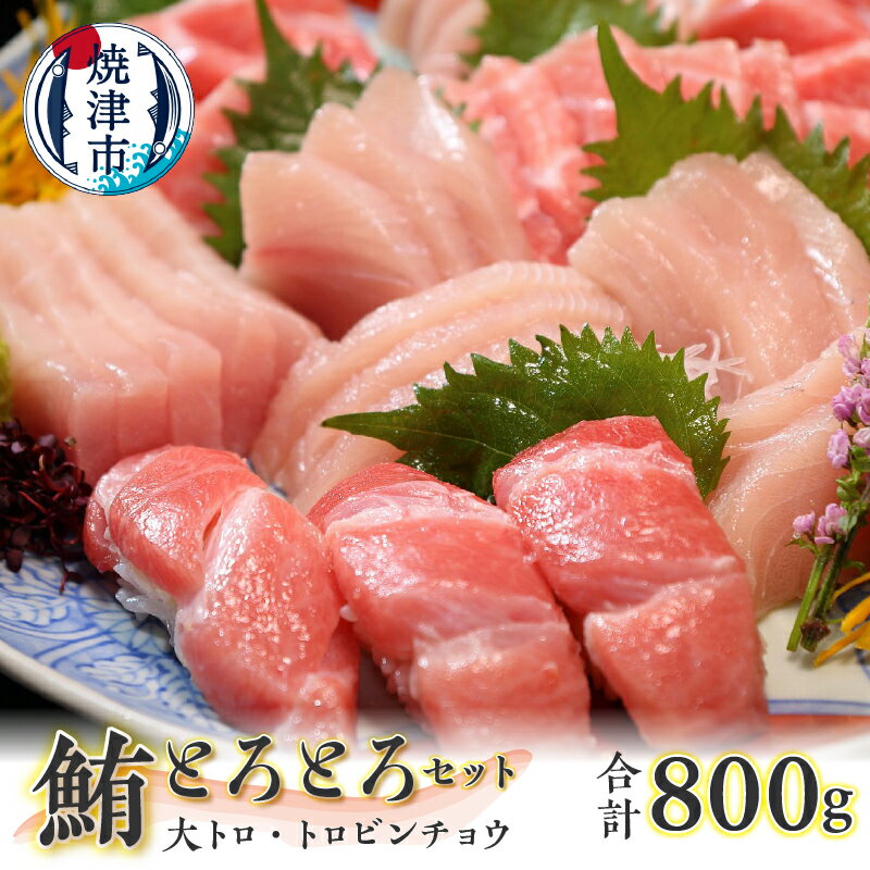 【ふるさと納税】 まぐろ 大トロ 鮪 セット 約800g 冷凍 本マグロ 大トロ トロビンチョウマグロ 2種類 魚 焼津 a20-371