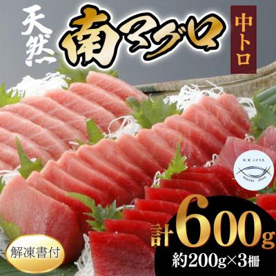 ふるさと納税 室戸市 【中トロ】天然南マグロ　中トロ2柵【解凍書付】