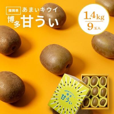 ふるさと納税 北九州市 福岡県産 博多甘うぃ 約1.4kg (大玉9玉入り)【2026年10下旬より発送】