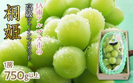 【特別厳選品のため数量限定】シャインマスカット「桐姫」　ALPAA048 ｜ 山梨 山梨県 ぶどう 葡萄 ブドウ マスカット 種なし 大粒 フルーツ くだもの 果物 高級 新鮮 産地直送 贈答 ギフト 家庭用  2025年 JA JA南アルプス市 南アルプス |