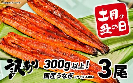二の丑【土用の丑の日までにお届け(7月25日～30日発送)】 国産うなぎ3尾 計300g以上 数量限定 先行予約 さかい河岸水産 ※サイズ無選別 蒲焼き 鰻 ウナギ K1804