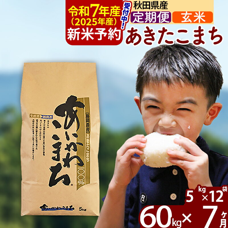 【ふるさと納税】※令和7年産 新米予約※《定期便7ヶ月》秋田県産 あきたこまち 60kg【玄米】(5kg小分け袋) 2025年産 お届け周期調整可能 隔月に調整OK お米 藤岡農産