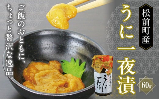 【保存料・添加物不使用】うに一夜漬け 60g 冷凍 ウニ 塩漬け 北海道 松前町 送料無料 MATK027