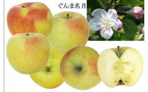 季節のりんご 10kg