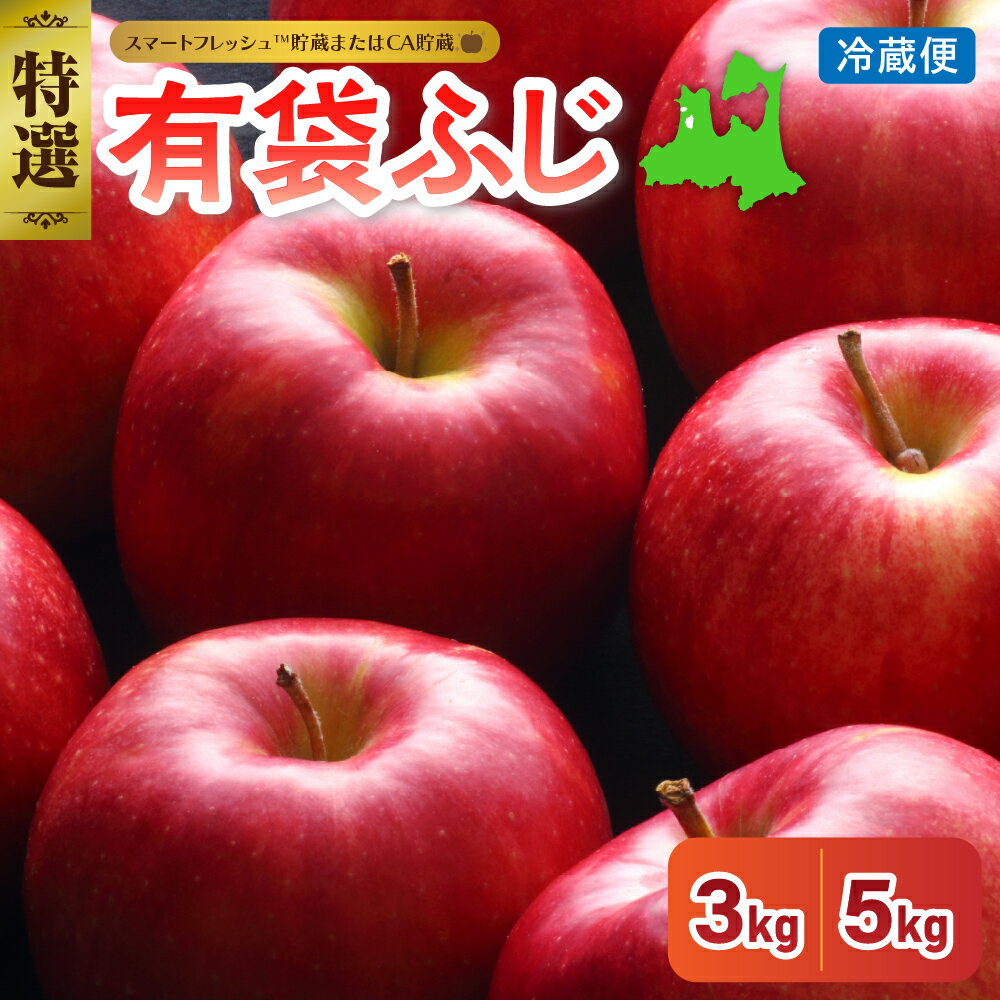 【ふるさと納税】 りんご 有袋 ふじ 約 3kg / 5kg 特選 クール便 【発送時期 と 重さ が選べる】 (スマートフレッシュ貯蔵またはCA貯蔵) フルーツ 果物 送料無料 産地直送 青森県 五所川原市 ) 青森りんご 五所川原 リンゴ ringo 林檎