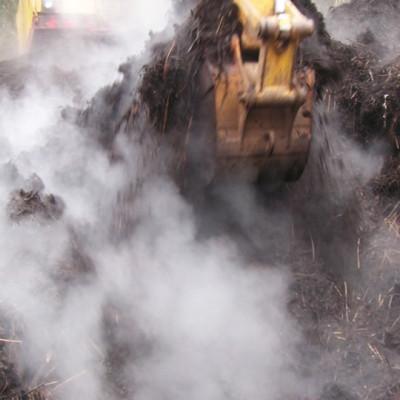 ふるさと納税 掛川市 【令和8年産新茶発送】特別栽培-掛川深蒸し茶　80g×5袋セット |  | 03