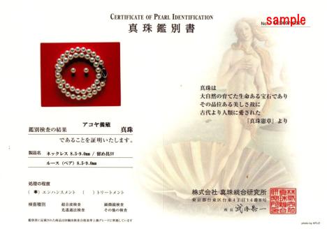 老舗の真珠専門店・高品質アコヤ真珠ネックレスセット8.5～9.0ミリ（イヤリングセット） / あこや ネックレス 真珠 伊勢志摩 パール 記念 入学式 卒業式 冠婚葬祭 結婚 成人 〔700-09〕