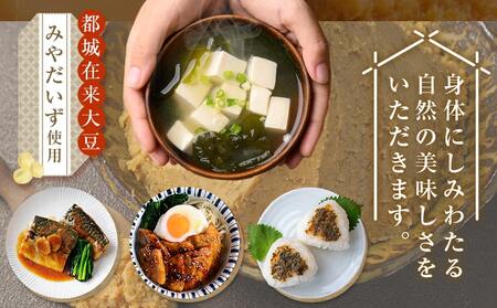 都城在来大豆みやだいず使用「はじめみそ」4kg≪みやこんじょ快速便≫_12-G801-R_ (都城市) はじめみそ 麦味噌 都城産 みやだいず使用 在来大豆 1kg×4個 生味噌