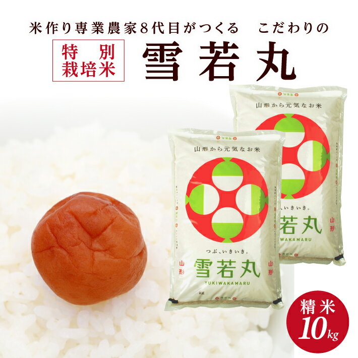 【ふるさと納税】特別栽培米 雪若丸 計10kg 5kg×2袋 精米 令和7年産米 山形県産 ご希望の時期頃お届け 米 白米 庄内米 ブランド米 ごはん ご飯 農家直送 産地直送 東北 山形県 酒田市 庄内 発送時期が選べる