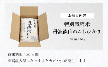 総合2位獲得！〈スピード出荷〉減農薬 特A コシヒカリ 5kg 丹波篠山産 特別栽培米 こしひかり