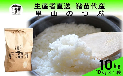 
                  【令和7年度産】 米 里山のつぶ 10kg(10kg×1袋) 白米 精米 | 米 こめ ごはん 10キロ 国産米 ブランド米 福島県産 農家直送 産地直送 生産者直送 杉田農園 おにぎり 家庭用 精米済み 猪苗代町
                