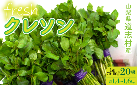 【産地直送】朝摘み新鮮！道志村産クレソン 20束（1400～600g） DSAA003 【期間限定】