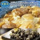 【ふるさと納税】鶏肉 親子丼 セット 炭火焼 120g 3袋 親子丼の素 170g 3食分 地鶏 真空包装 天草大王