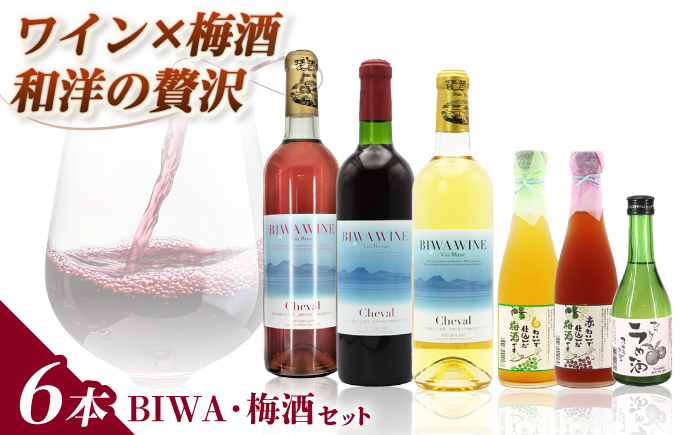 
BIWA・梅酒セット
