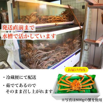 ふるさと納税 越前町 【2025年11月中旬頃より順次発送】《浜茹で》越前がに　小サイズ×1杯 |  | 02