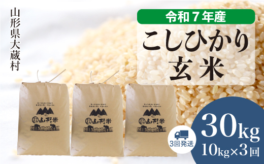 ＜令和7年産米＞ こしひかり 【玄米】30kg 定期便 (10kg×3回) 　配送時期指定できます！