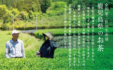 【贈答用】鹿児島県産緑茶 大浦茶 一番茶2本セット（100g×2） 鹿児島県産 かごしま お茶 日本茶 緑茶 茶葉 南さつま市 徳留茶農園