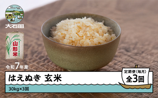 米 令和7年産 はえぬき 玄米 90kg 30kg×3回 毎月定期便 【5月上旬・6月上旬・7月上旬発送】  山形県産 東北 ap-hagxa30x3-tm5to7f