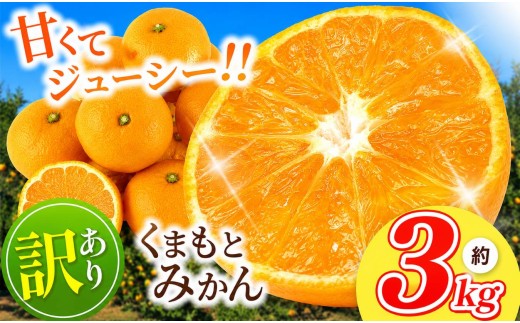 訳あり 熊本県産 温州みかん 約 3kg | 果物 くだもの フルーツ 柑橘 柑橘類 みかん ジューシー みかん 甘い みかん ミカン 家庭用 みかん 温州 みかん 蜜柑 みかん ミカン 熊本県 玉名市