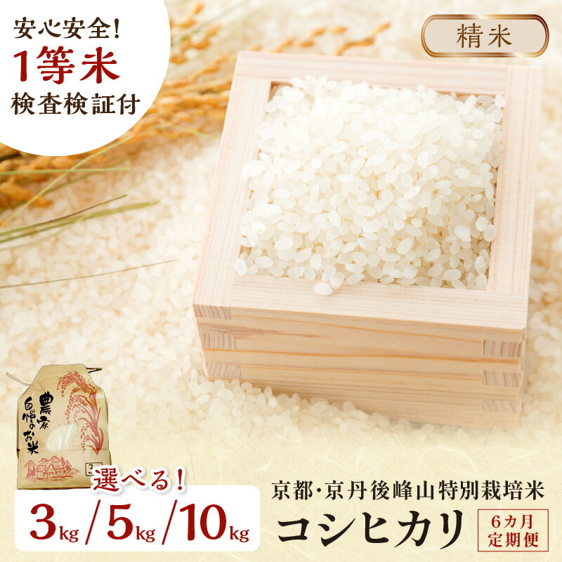 【ふるさと納税】残りわずか【6ヶ月定期便】2025年産予約 京都・京丹後峰山 特別栽培米コシヒカリ 3kg 5kg 10kg【白米】 1等米 検査済証付 選べる 定期便 お米 精米 お弁当 おにぎり 京都府産 白米 特別栽培 一等米 ふるさと納税 米 定期便