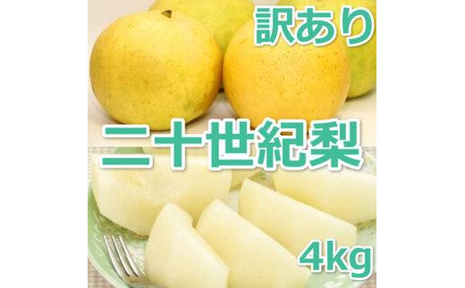953.【訳あり】二十世紀梨 4kg（梨）※8月下旬頃～9月下旬頃に順次発送【先行予約 梨 なし 果物 フルーツ くだもの 鳥取県 北栄町 おすすめ 人気 送料無料】