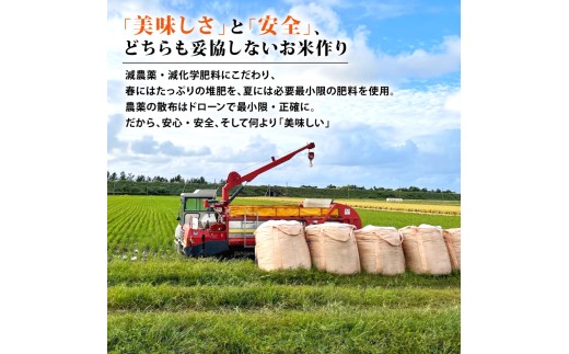 【令和8年産 先行予約】12月発送 新米 コシヒカリ 定期便 10kg 5kg×2袋 3か月 新潟 3回 3カ月 コンテスト入賞米 定期便 特栽米 新潟県産コシヒカリ 新発田産 新潟 ふるさと納税 米