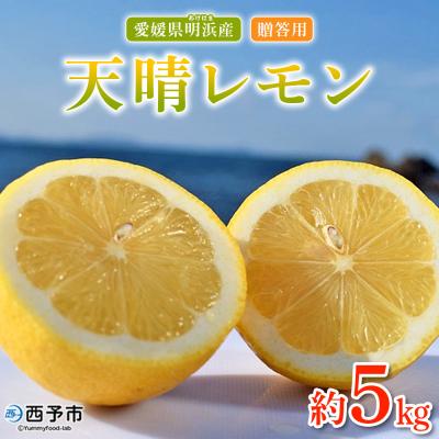 ふるさと納税 西予市 【先行受付】天晴レモン　贈答用　約5kg　れもん　愛媛　果物