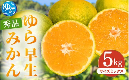 【先行予約】ゆら早生みかん 秀品 サイズミックス 5kg 贈答用※2025年10月頃に順次発送予定 / ゆら早生 柑橘 極早生 フルーツ 果物 くだもの 食品 人気 おすすめ 送料無料 由良町 【ksmt011】